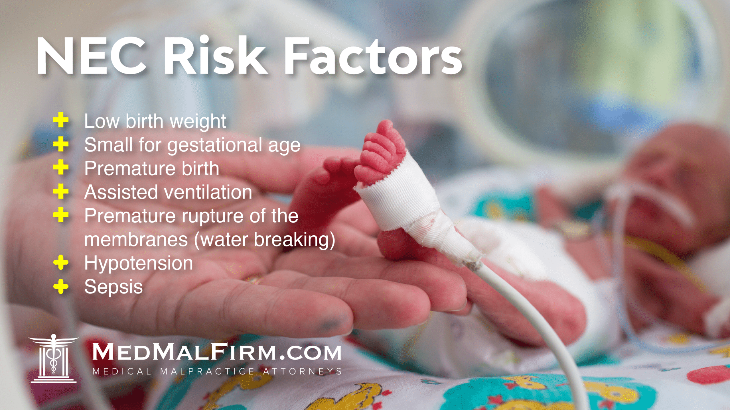 NEC risk factors