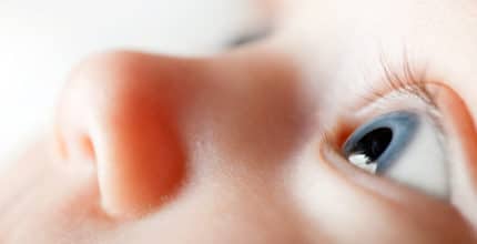 retinopathy of prematurity